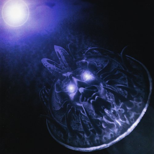 Amada