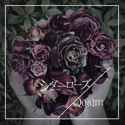 シダーローズ - Single