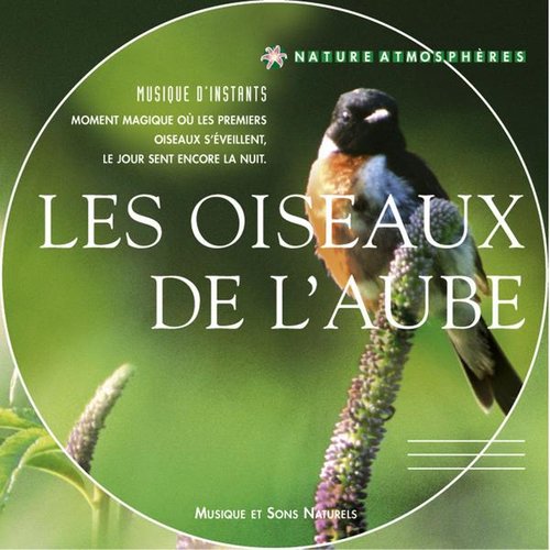 Les Oiseaux De L'Aube