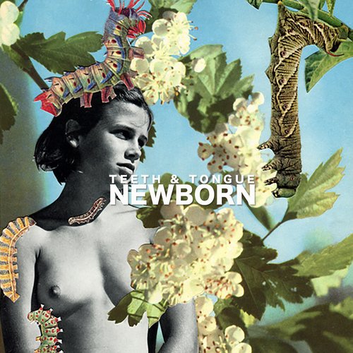 Newborn - Single