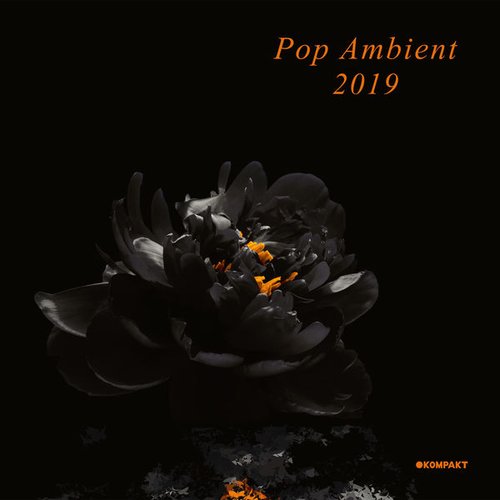 Pop Ambient 2019 (DJ Mix)