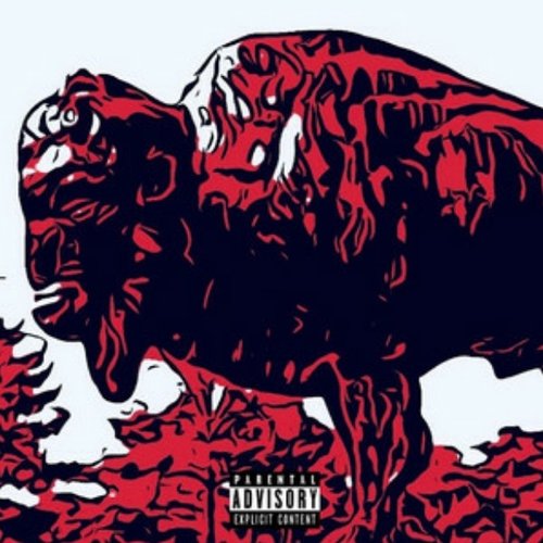 The Buffalo Tape