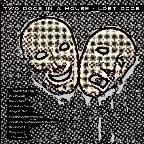 Lost Dogs