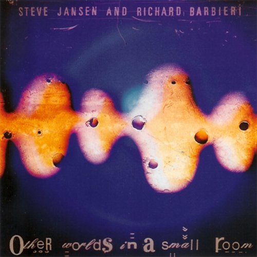 ジャンセン&バルビエリ Other Worlds in a Small Room Other Worlds in a Small Room — Steve Jansen & Richard