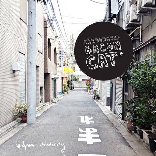 Carbonated Bacon Cat