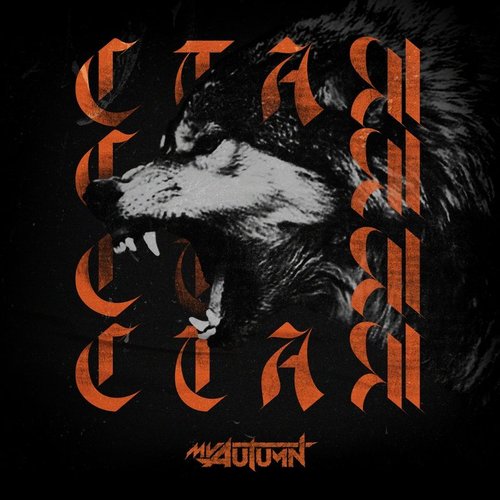 Стая - Single