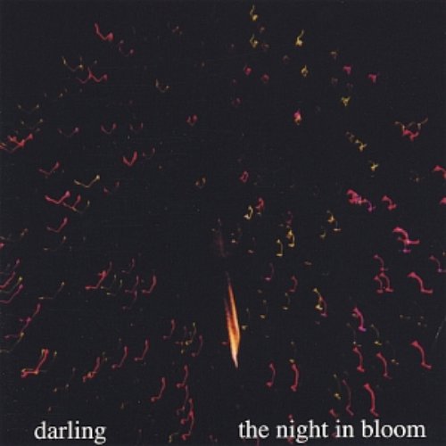 The Night In Bloom