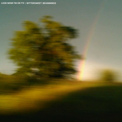 BITTERSWEET BEGINNINGS