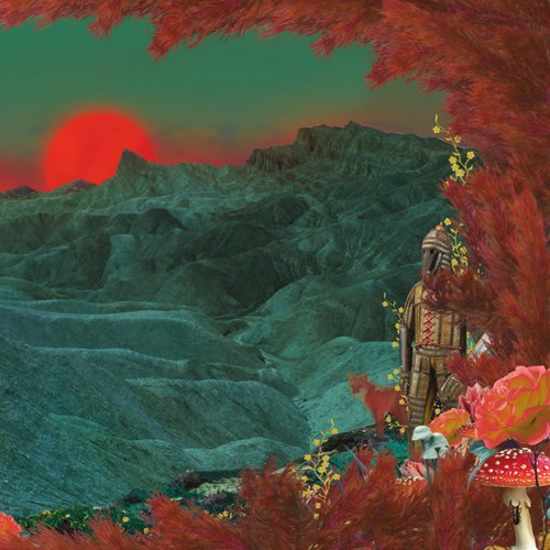 Hawkeyes / The Radiation Flowers