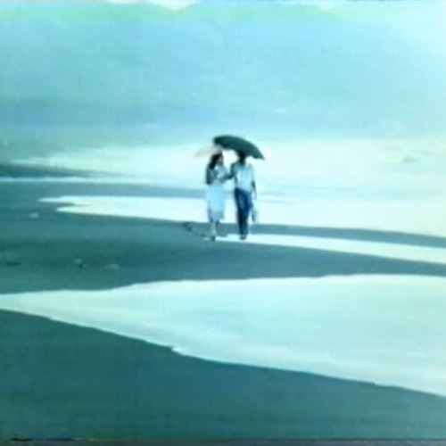 海岸を下って