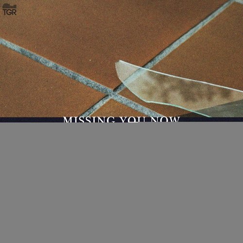 Missing You Now - Single