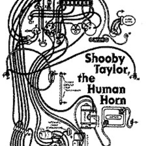 The Human Horn