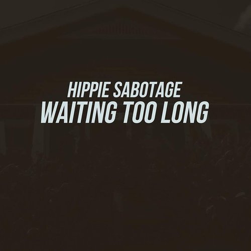 Waiting Too Long - Single