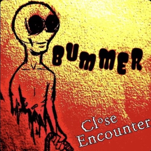 Bummer - Single