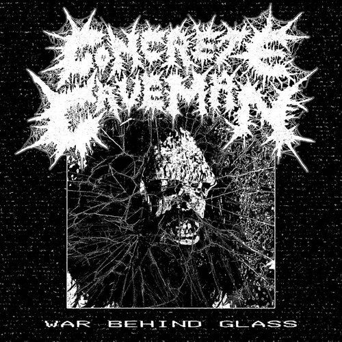 War Behind Glass