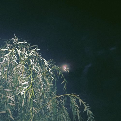 Оставаться никем - Single