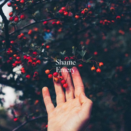 Shame - Single