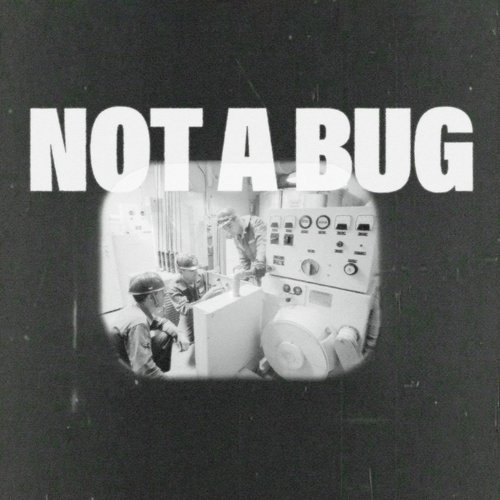 Not A Bug