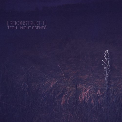 Night Scenes [Rekonstrukt-1]