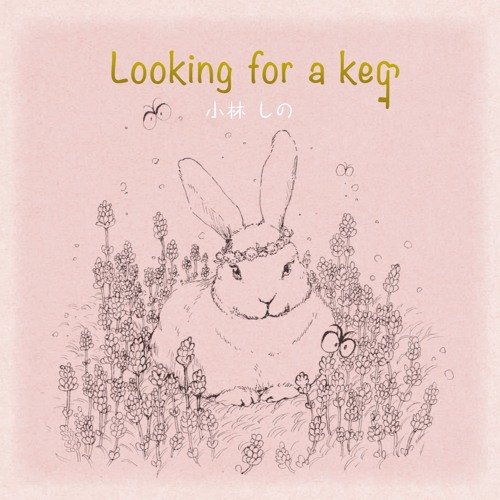 Looking for a key