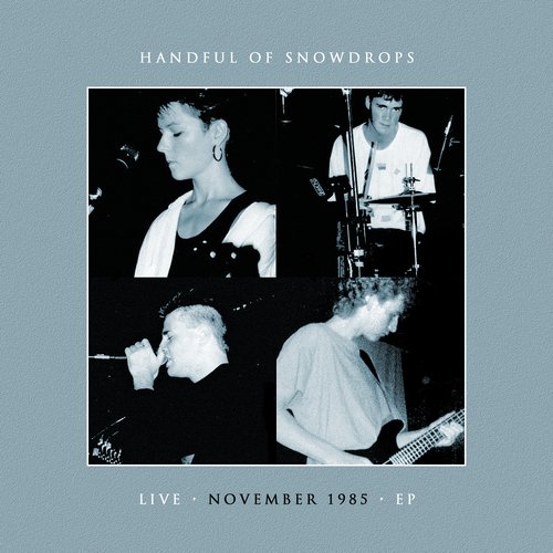 Live November 1985