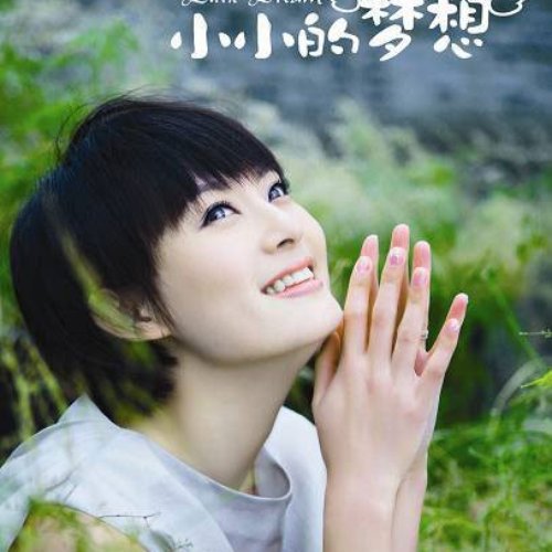 小小的梦想