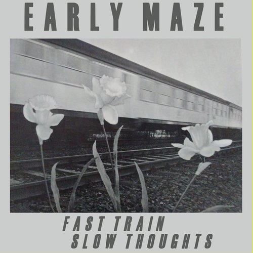 Fast Train, Slow Thoughts