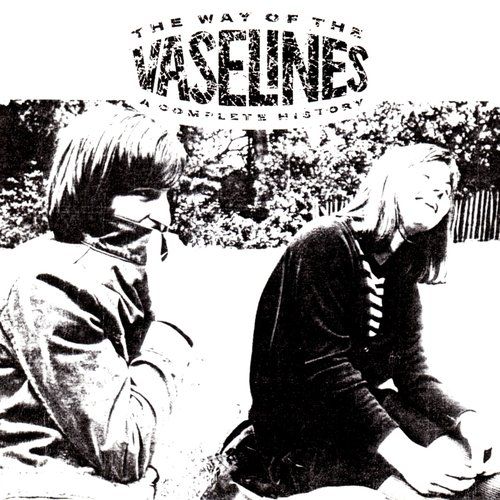 The Way Of The Vaselines - A Complete History — The Vaselines | Last.fm