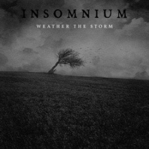 Weather The Storm (digital Single)