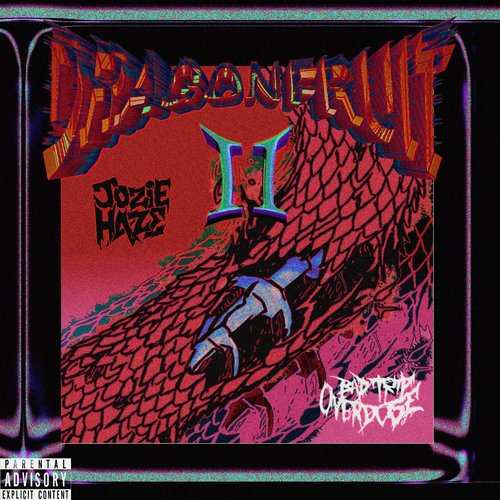 Dragonfruit II - Single