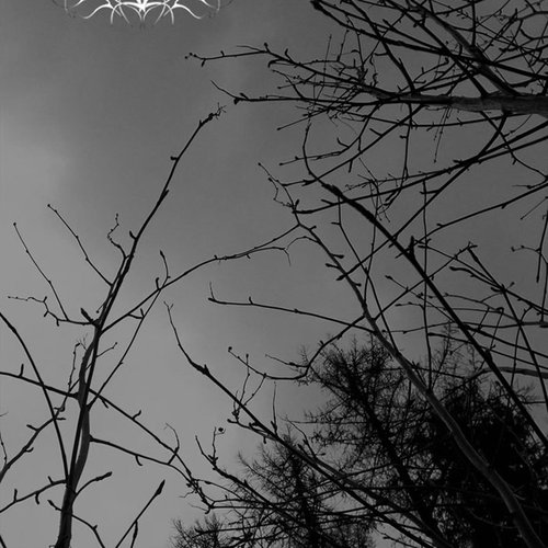 Pestilential Abyss