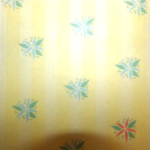 A Patterned Length of Light