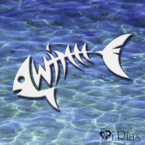 SWIMMY（TYPE-B）