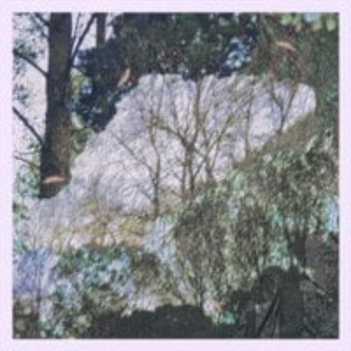 Zephyr