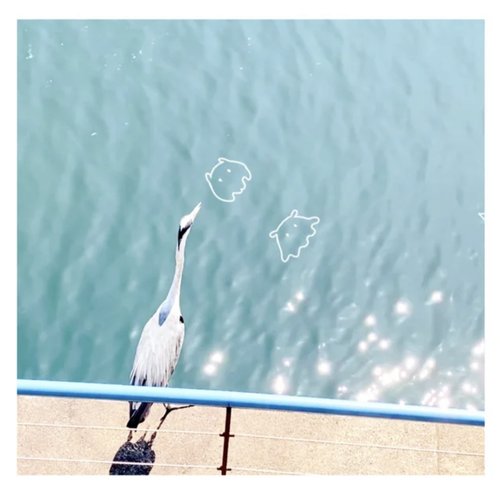 Swim - Single