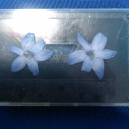 Heyo Cassingle