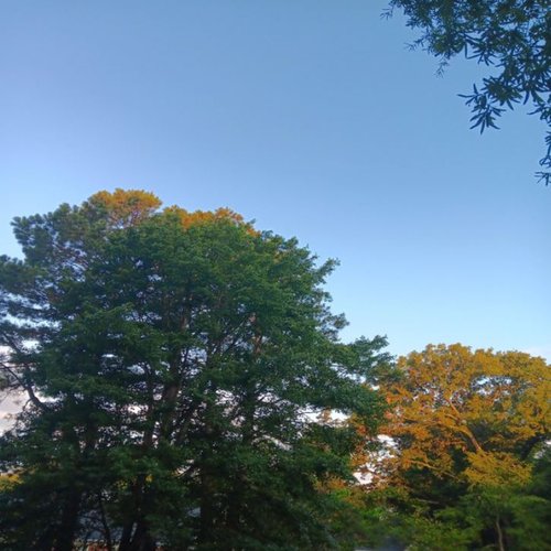Guitar Mix 1