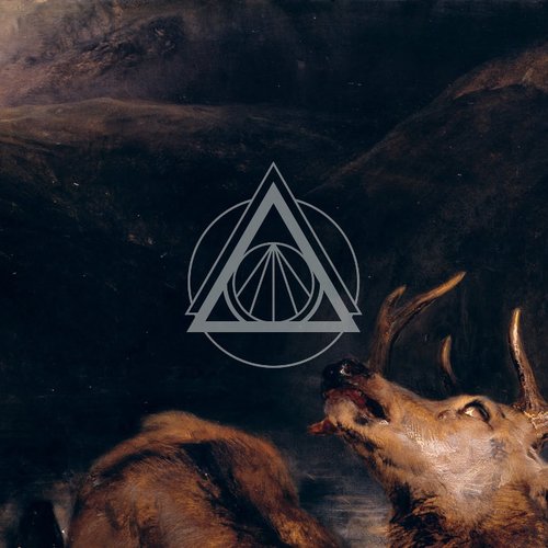 nnord ##02 - Anima​(​li)