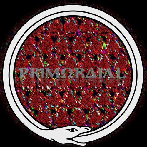 Primordial: Experimental EP