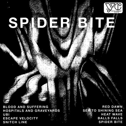 Spider Bite