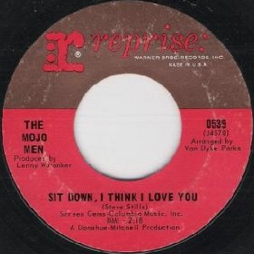 Sit Down, I Think I Love You