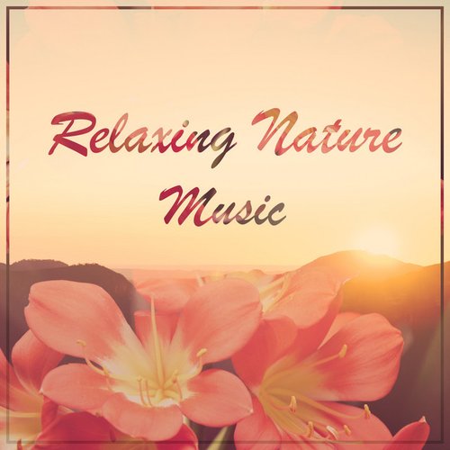 Relaxing Nature Music for Yoga, Sleep and Meditation