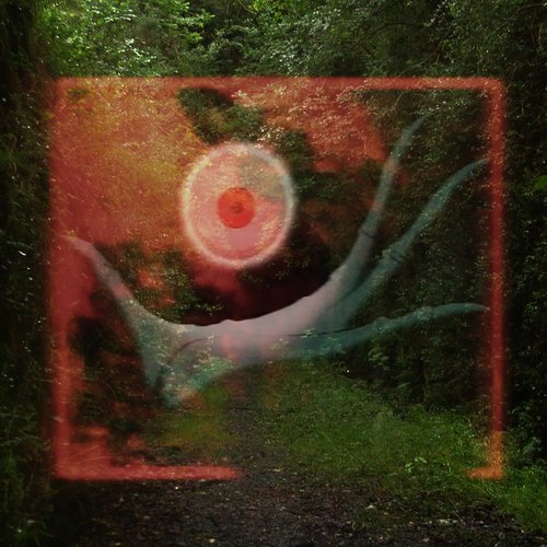 Focal Point