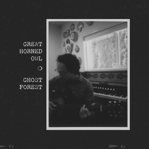 Ghost Forest