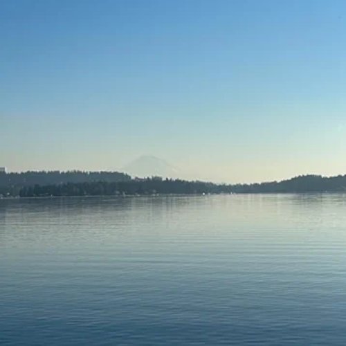 Ambient Sleep Therapy