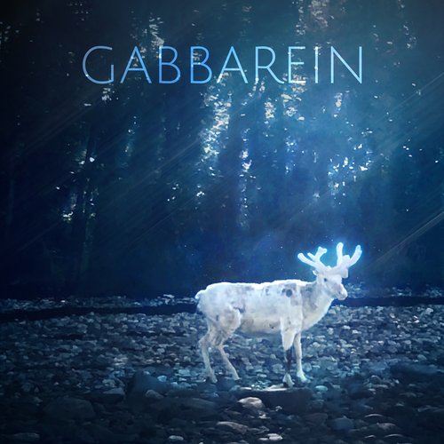 Gabbarein