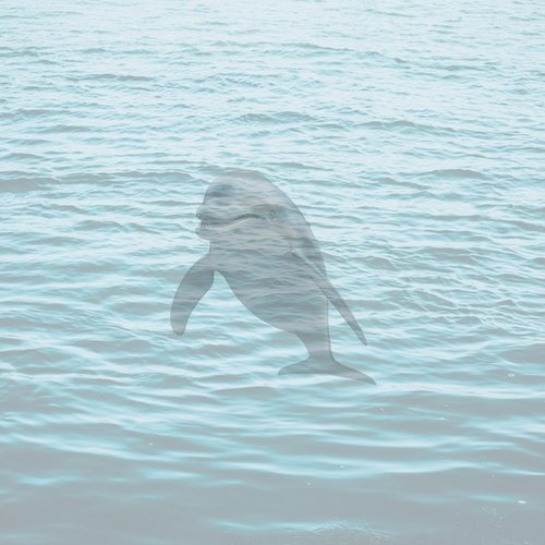 Dolphin Splash it When I Whip it - Single