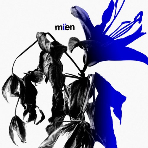 Miien