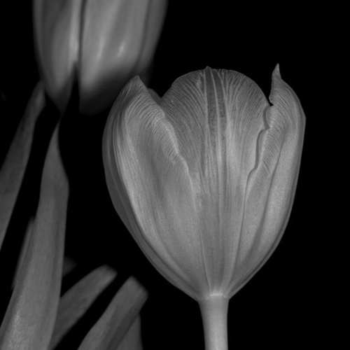 Just What I Need - Single