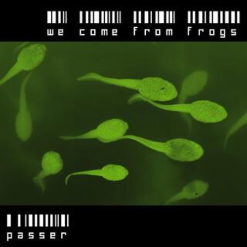 We Come From Frogs